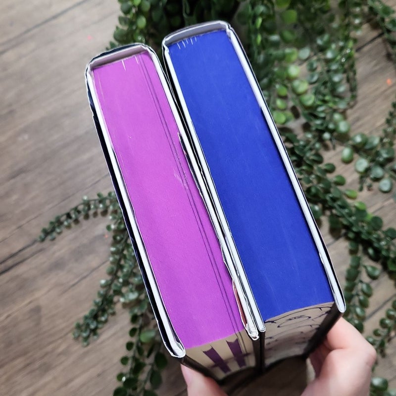 The Prison Healer & The Blood Traitor - Fairyloot
