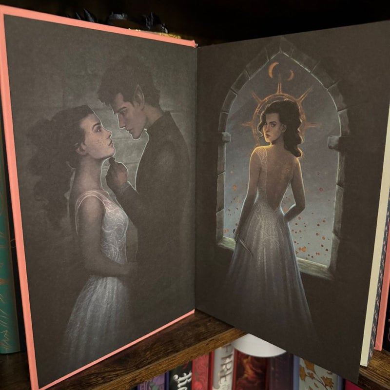 A Kingdom of Stars and Shadows Bookish Box SE *Wounded*