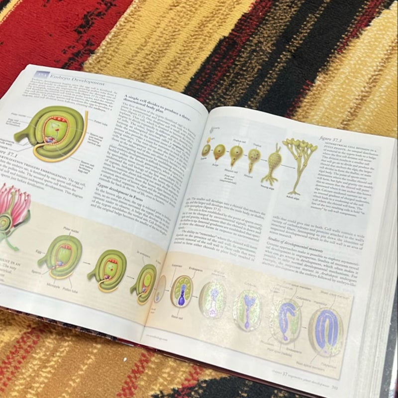 Biology 8th Ed 