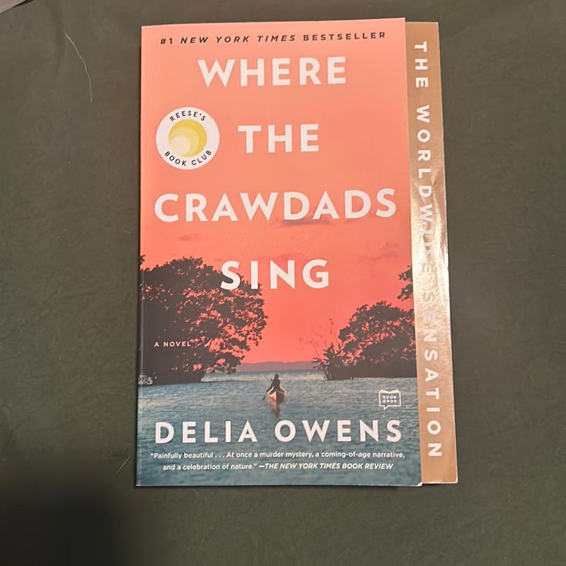 Where the Crawdads Sing