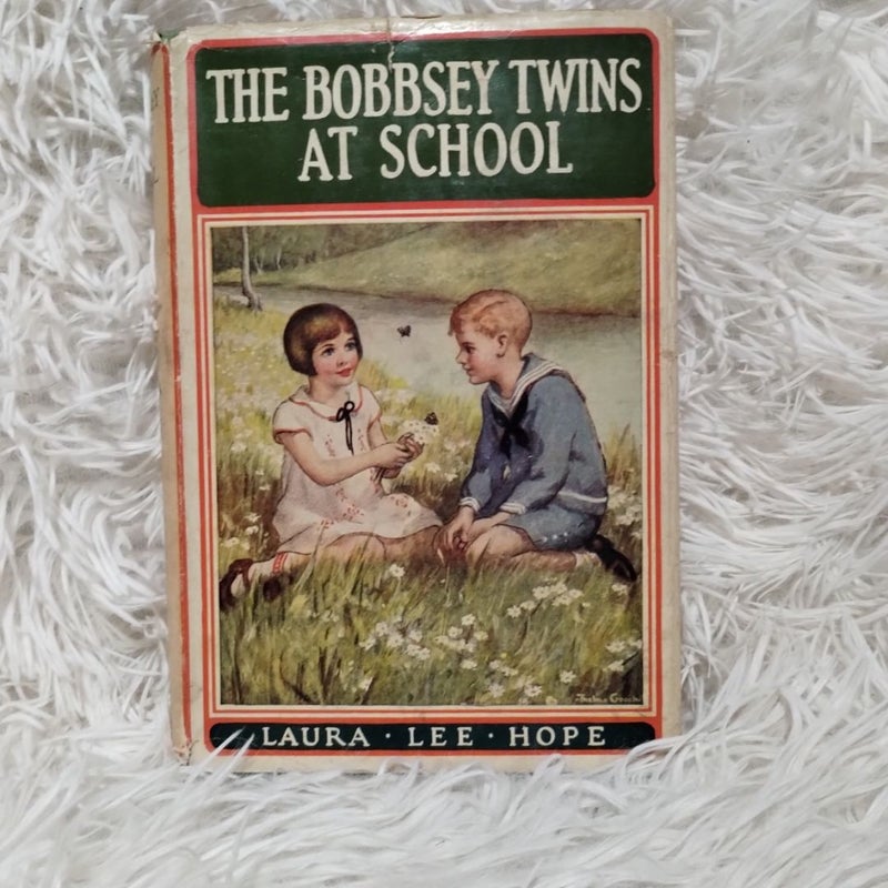 BUNDLE: The Bobbsey Twins 