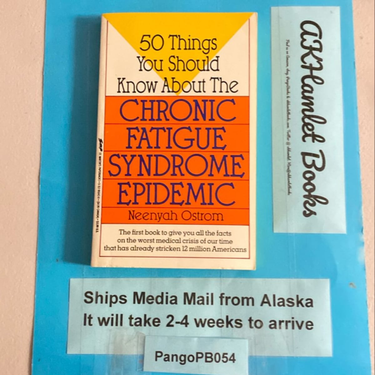 50 Things You Should Know about the Chronic Fatigue Symdrome Epidemic ...