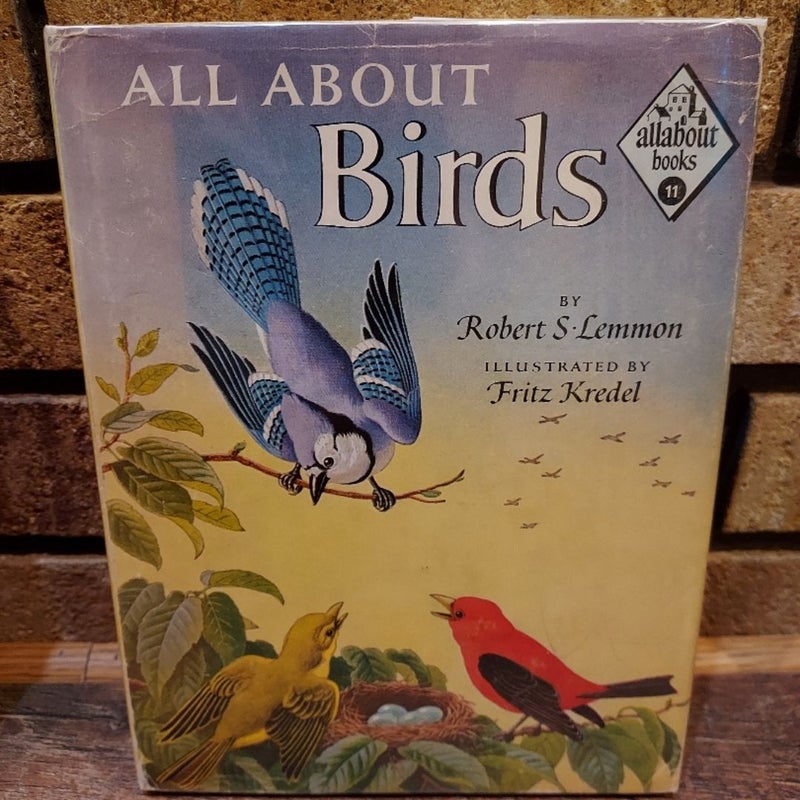 All About Birds