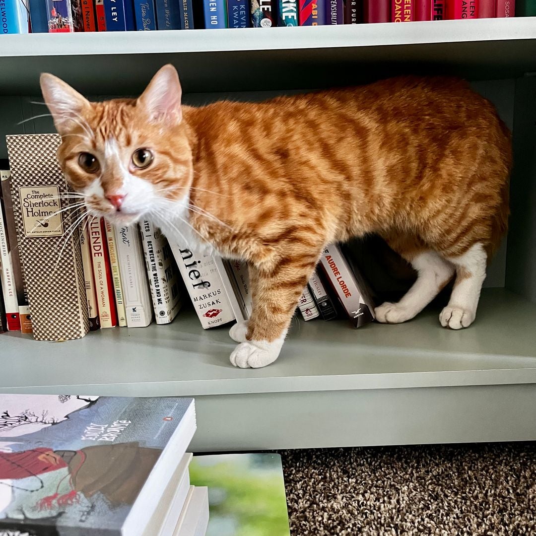 Crouton’s Corner