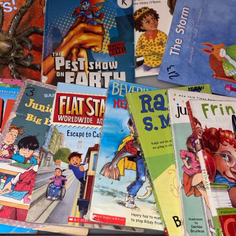 Kids book bundle featuring Junie B Jones, and Flat Stanley