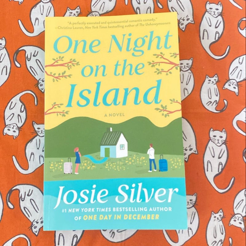 One Night on the Island