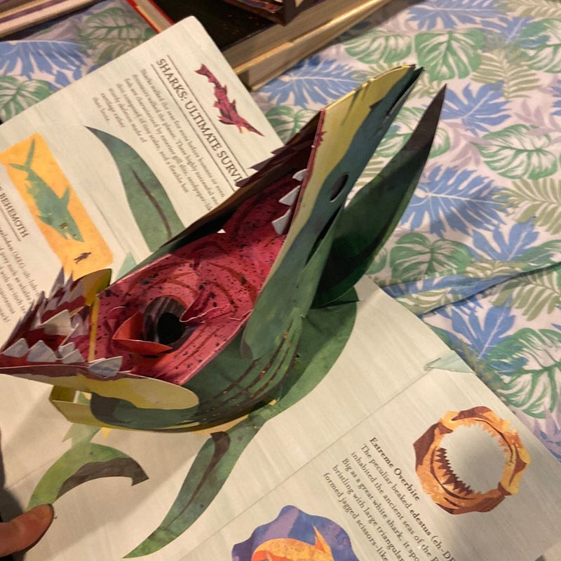 Encyclopedia Prehistorica Sharks and Other Sea Monsters Pop-Up