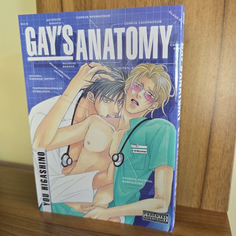 Gay's Anatomy