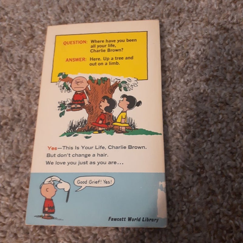 Charlie Brown trio of comic books