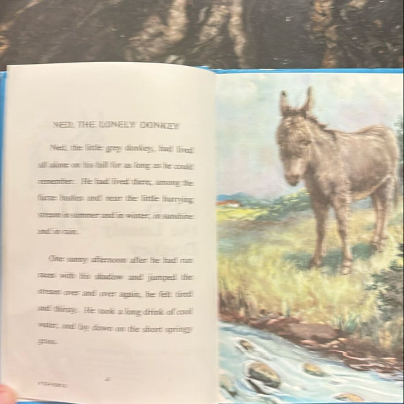 Ned the Lonely Donkey