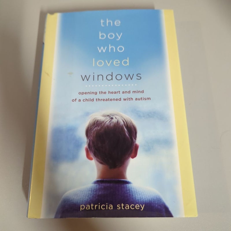 The Boy Who Loved Windows