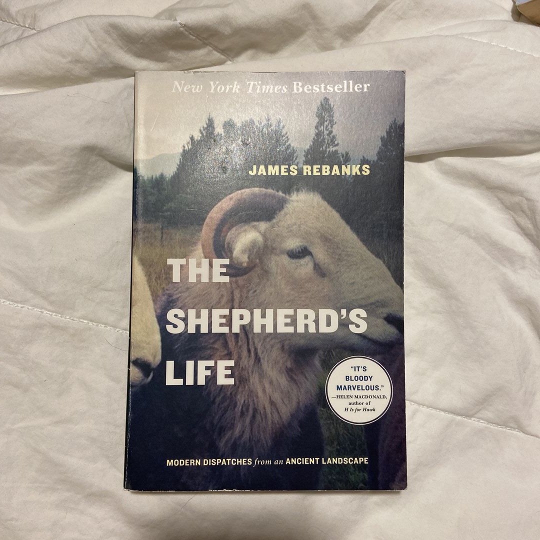 The Shepherd's Life