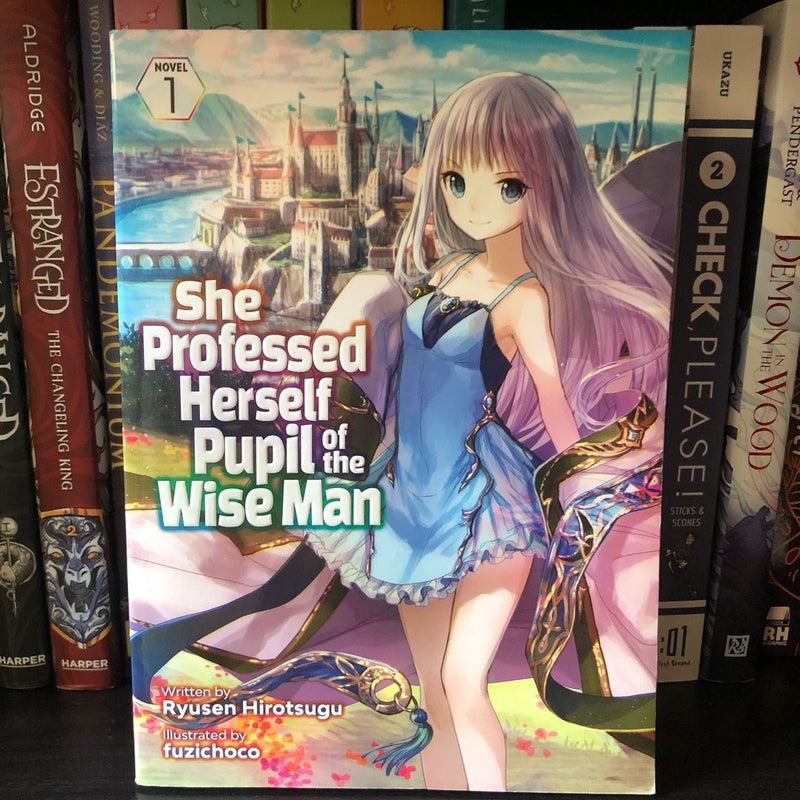 She Professed Herself Pupil of the Wise Man (Light Novel) Vol. 1