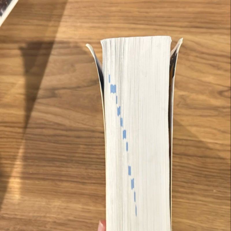 501 German Verbs