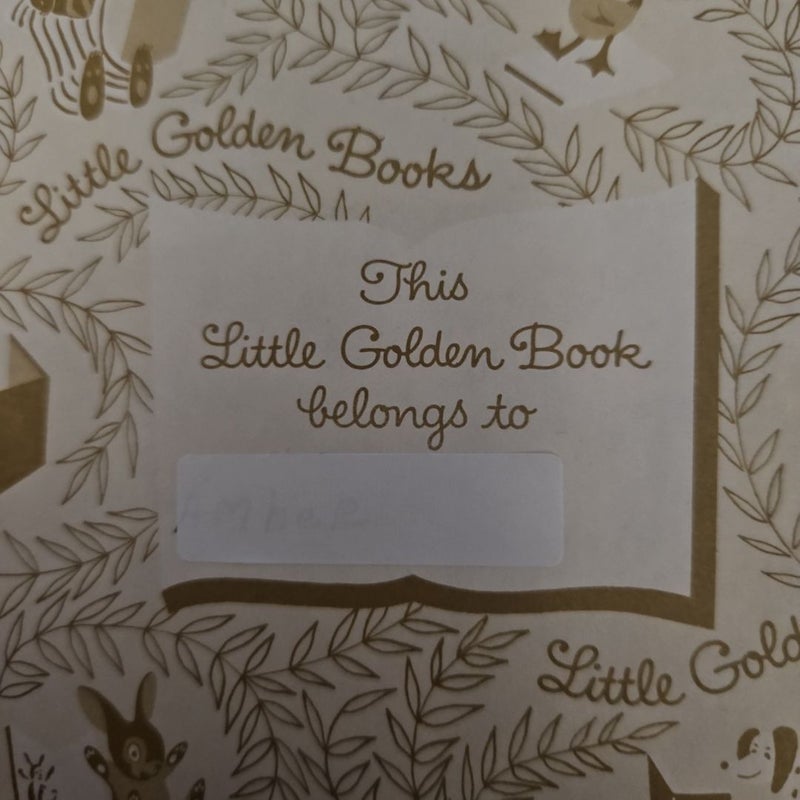 Little Golden Picture Dictionary