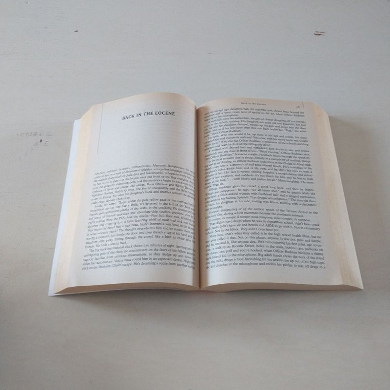 T. C. Boyle Stories