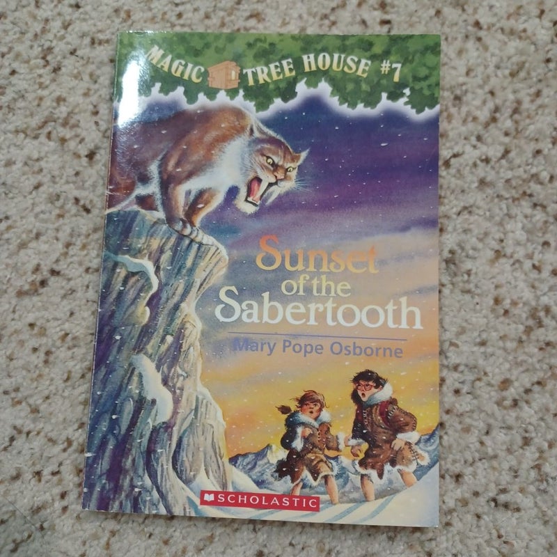 Magic Tree House Bundle