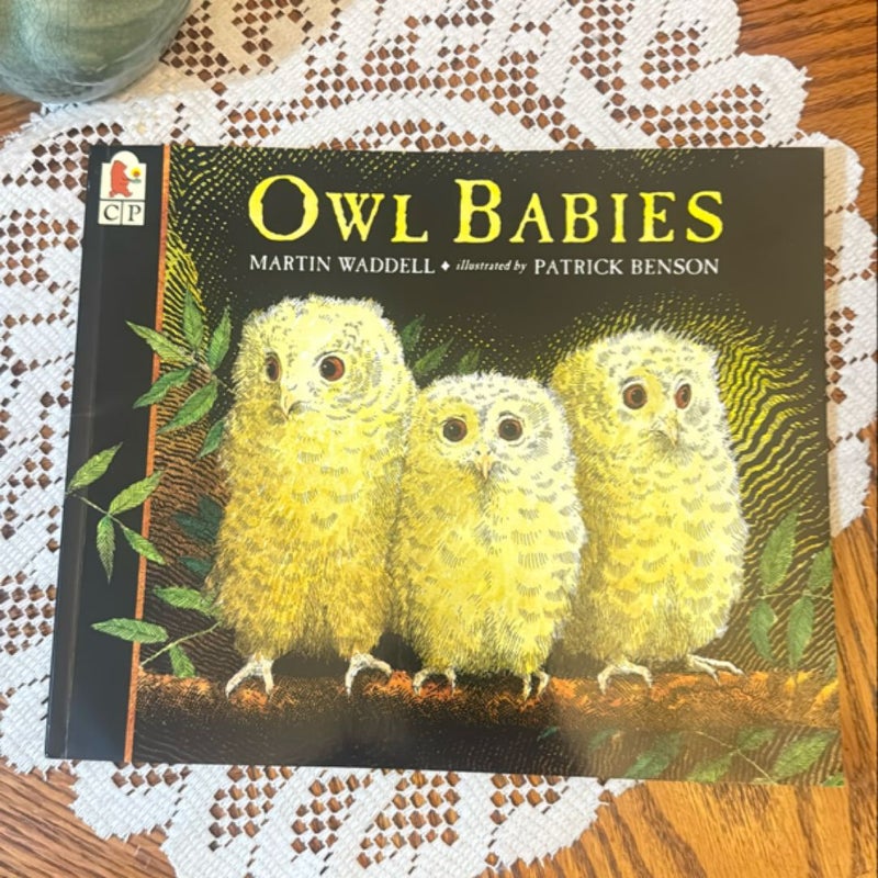 Owl Babies