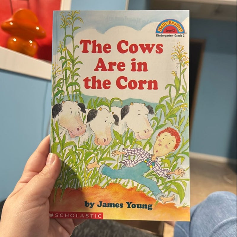 The Cows are in the Corn