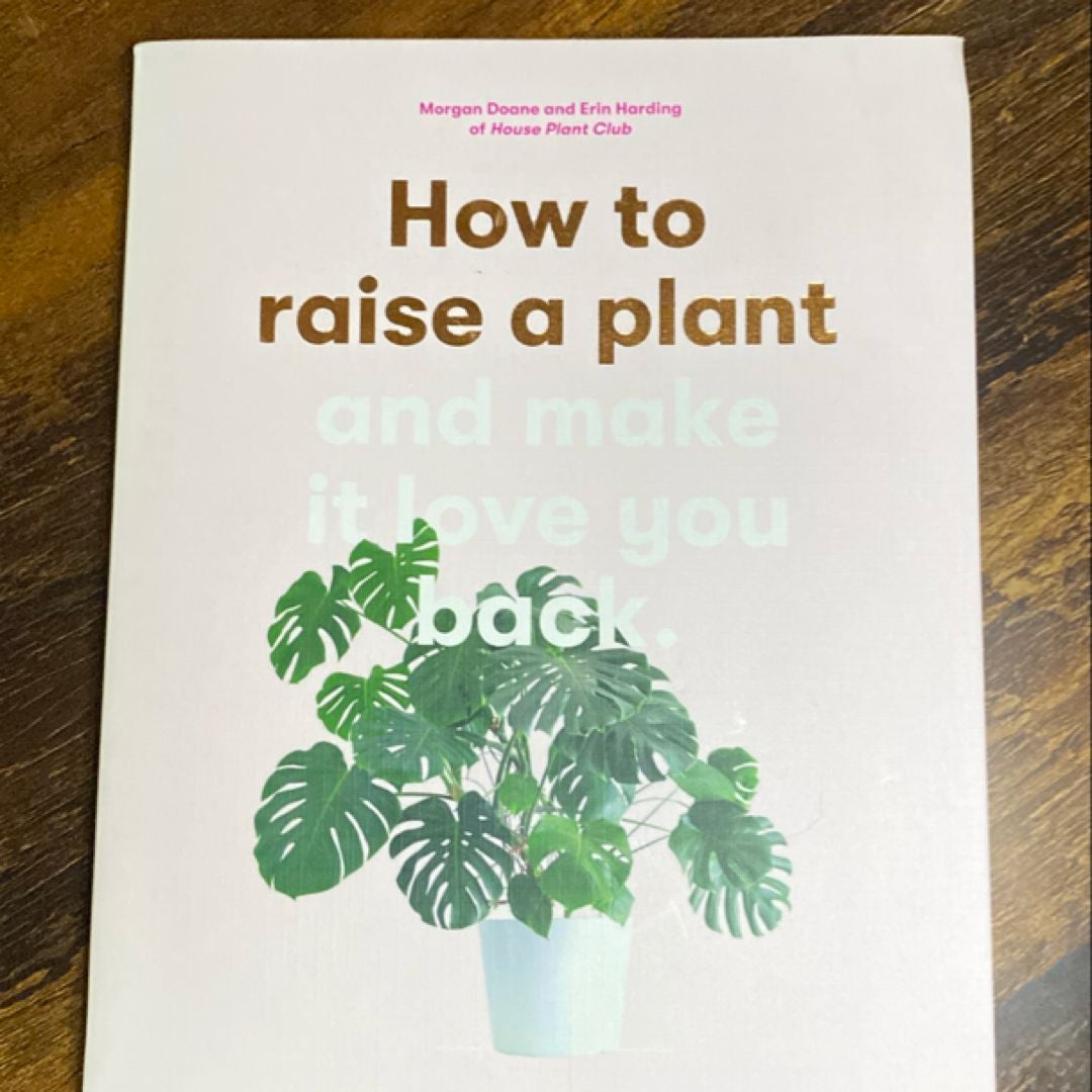 How to Raise a Plant