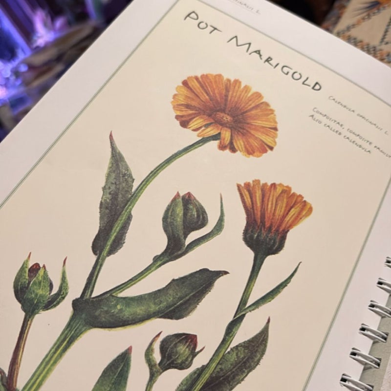 A Notebook of Flowers