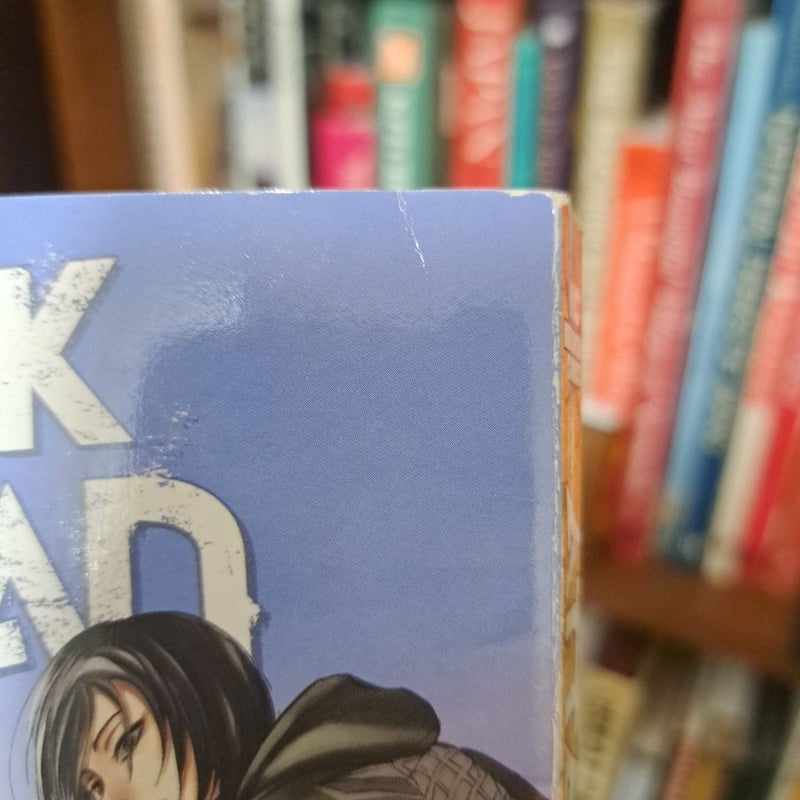 Attack on Titan 10