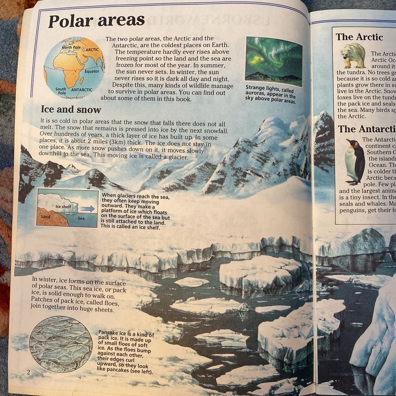 Polar Wildlife 