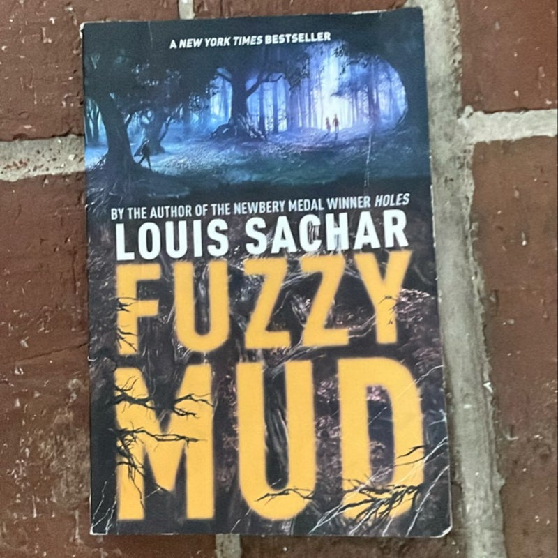 Fuzzy Mud