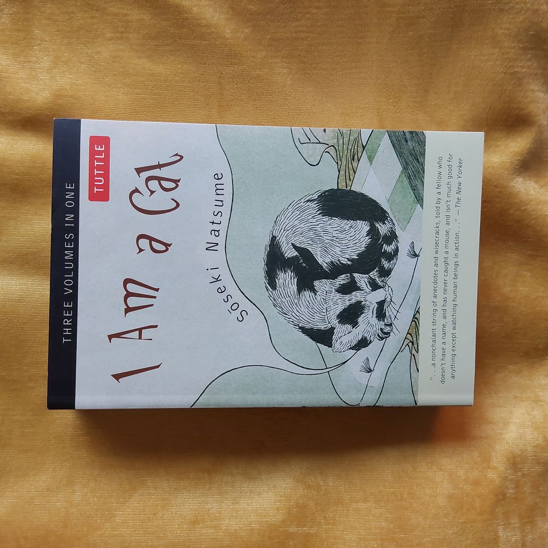 Sale image for 3f07b850-3a17-415b-9c62-609d2aa89776-3CTSwdTXOFSCewCXAlwDXwCc2et1