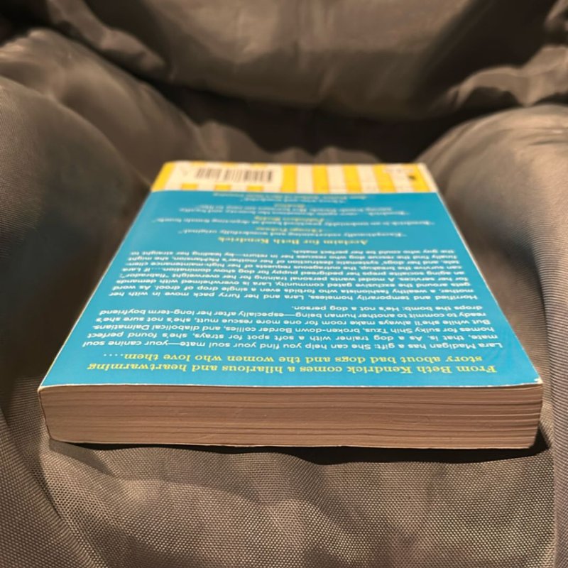 The Lucky Dog Matchmaking Service