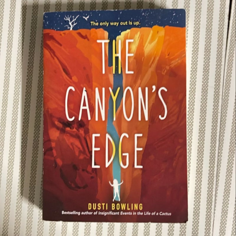 The Canyon's Edge