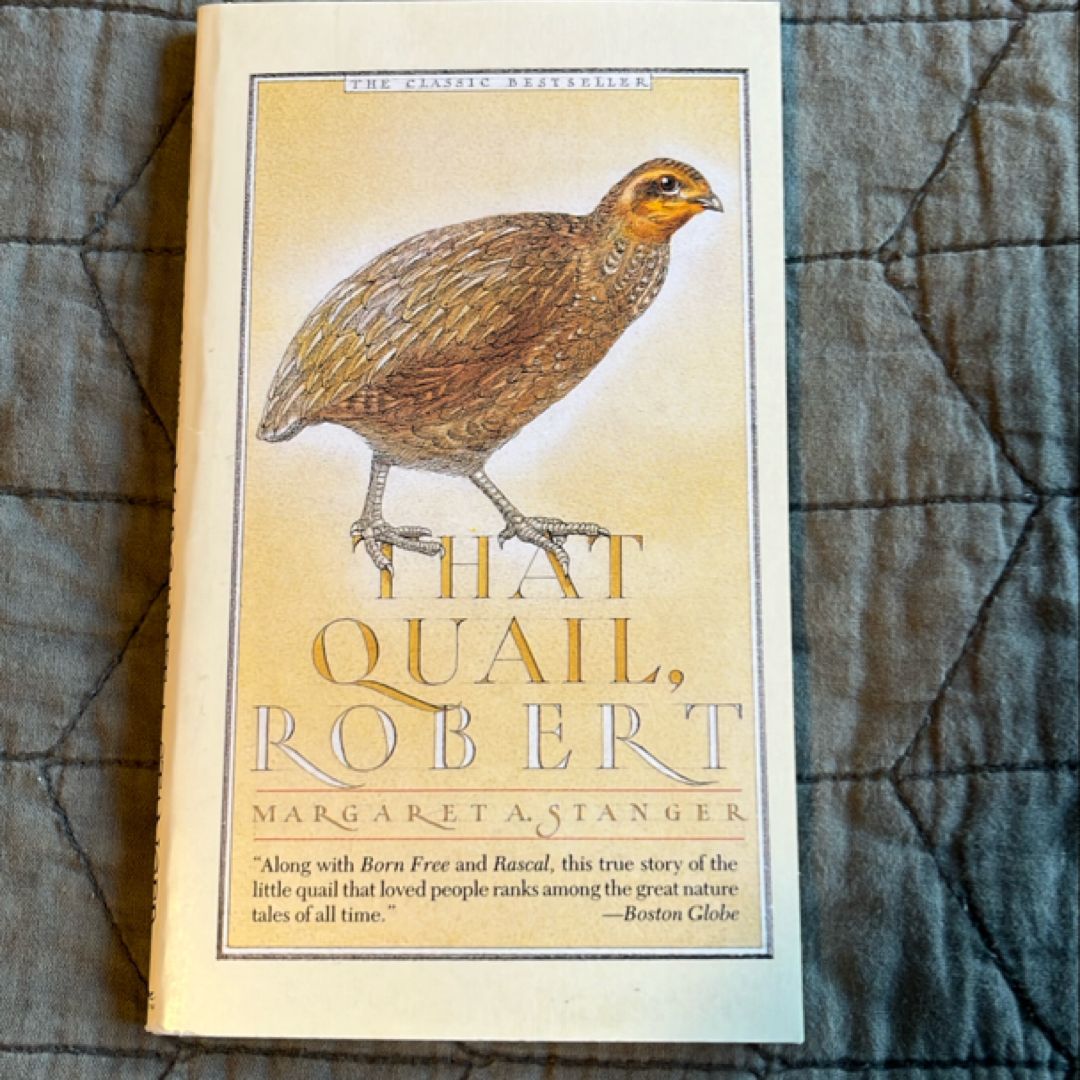 That Quail, Robert