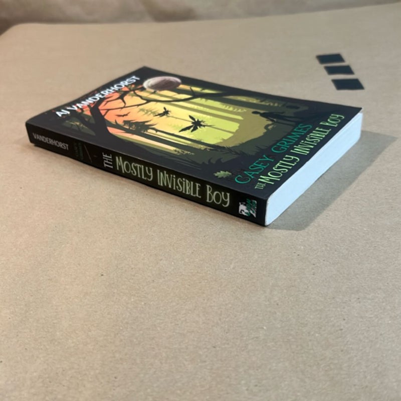 The Mostly Invisible Boy (Casey Grimes)
