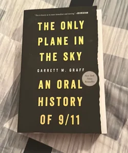 Only Plane in the Sky