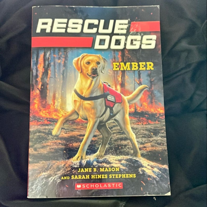 Rescue Dogs: Ember