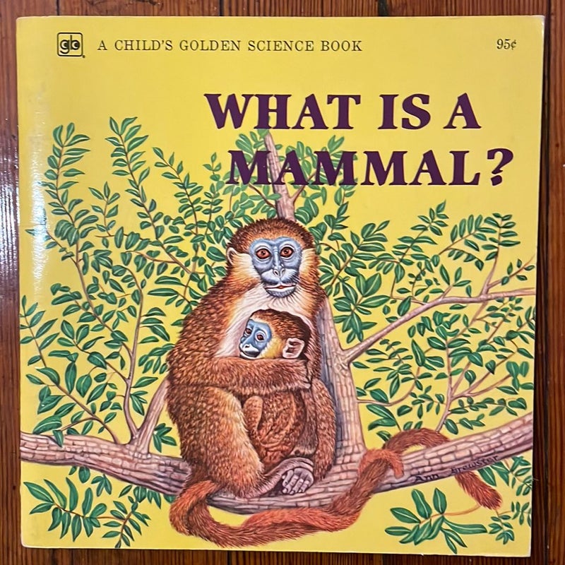 What Is a? Children’s Science Bundle (4)