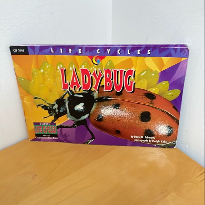 Insect Literacy Bundle