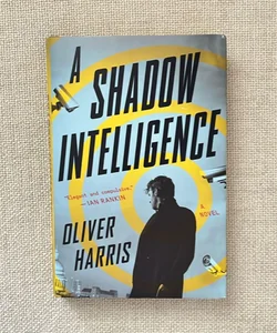 A Shadow Intelligence