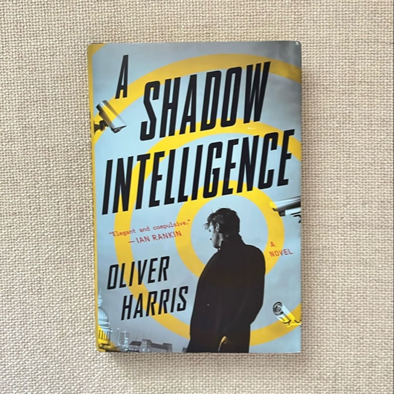 A Shadow Intelligence