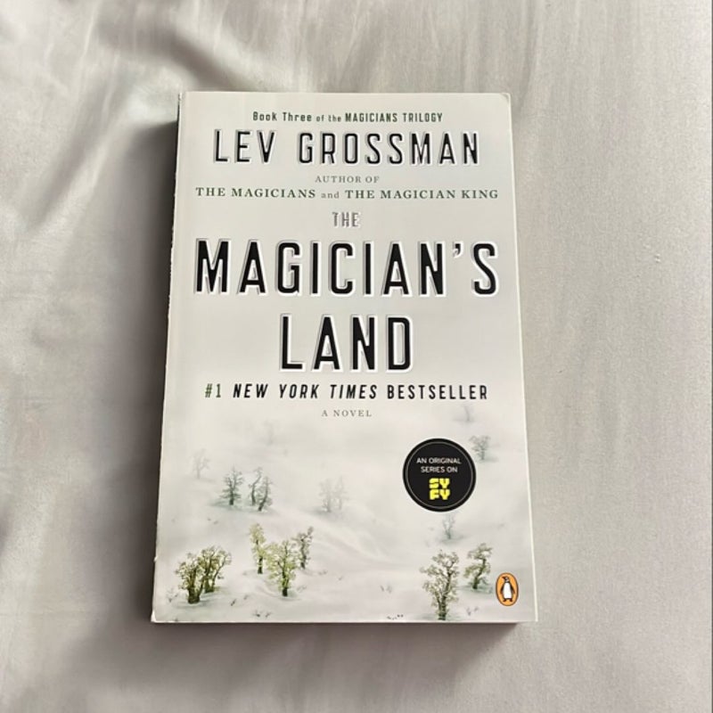 The Magician's Land