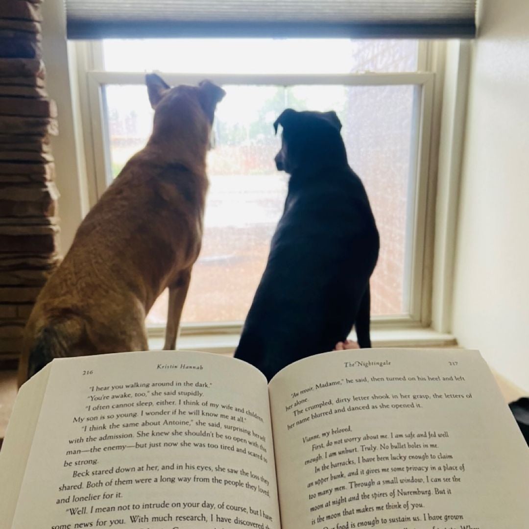 Hanmarall Reads