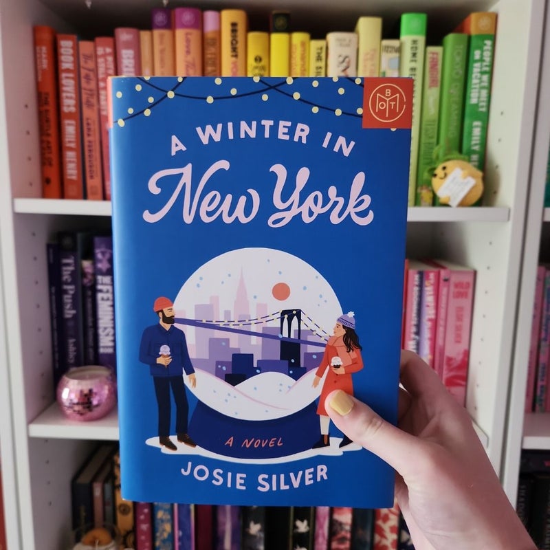 A Winter in New York
