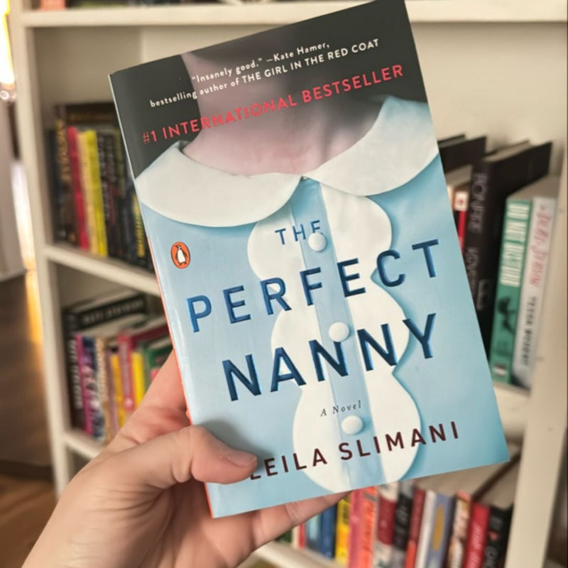 The Perfect Nanny