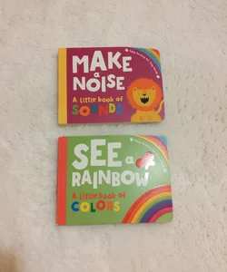 Make a Noise and See A Rainbow 