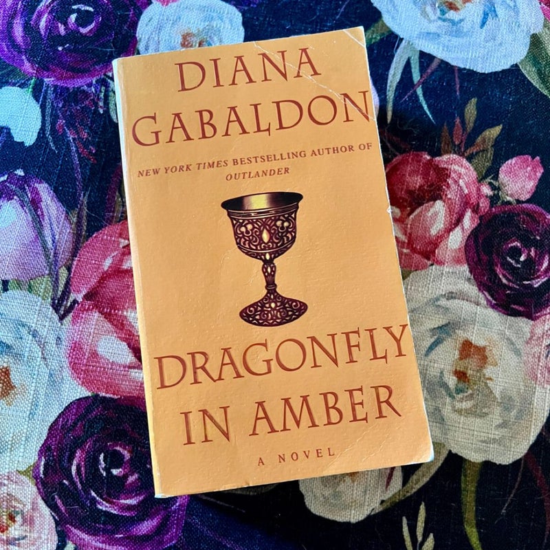 Dragonfly in Amber