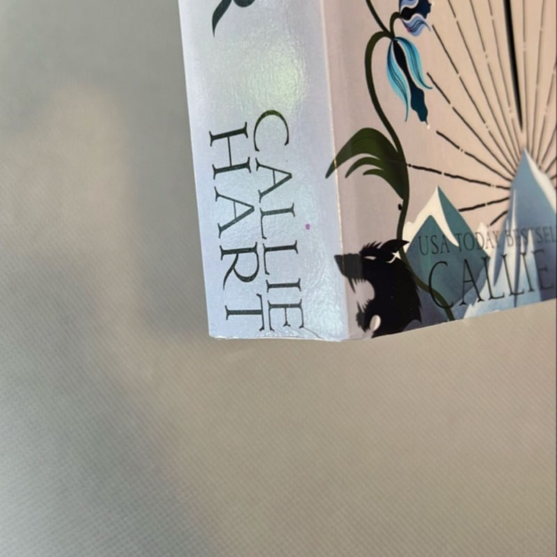 Quicksilver (the Fae and Alchemy Series Book 1) LIMITED EDITION! 