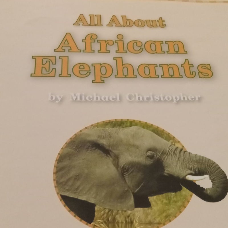 All About African Elephants