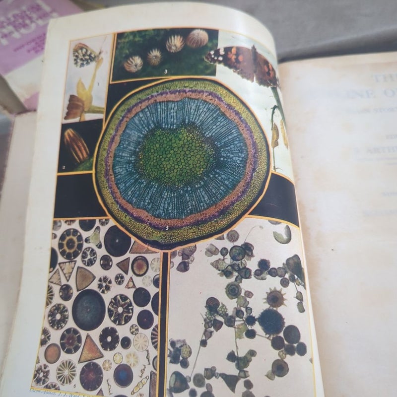 The outline of science