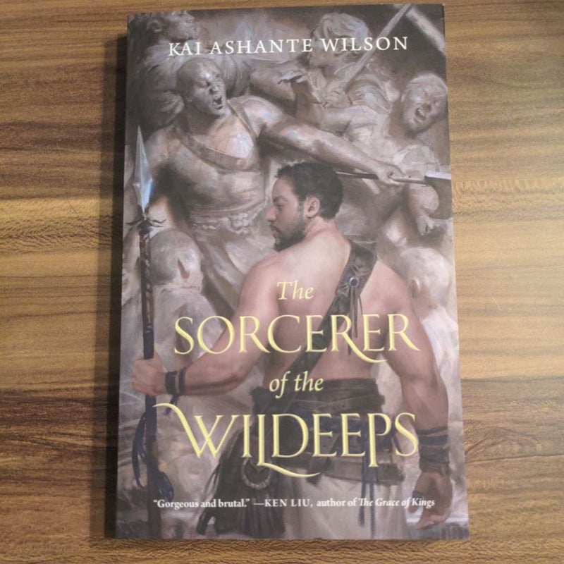 The Sorcerer of the Wildeeps