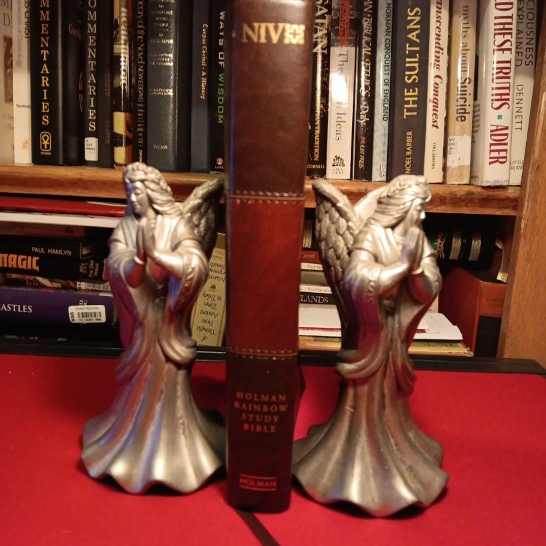 NIV Rainbow Study Bible, Saddle Brown LeatherTouch